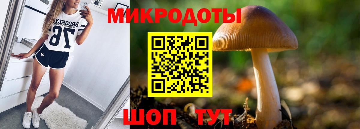 Галлюциногенные грибы Psilocybine cubensis Ачинск